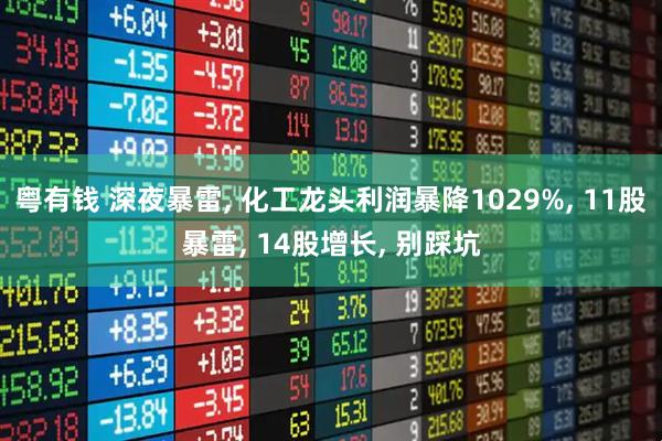 粤有钱 深夜暴雷, 化工龙头利润暴降1029%, 11股暴雷, 14股增长, 别踩坑