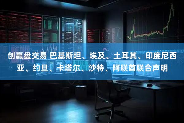 创赢盘交易 巴基斯坦、埃及、土耳其、印度尼西亚、约旦、卡塔尔、沙特、阿联酋联合声明